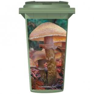 Toadstools In A Forest Wheelie Bin Sticker Panel